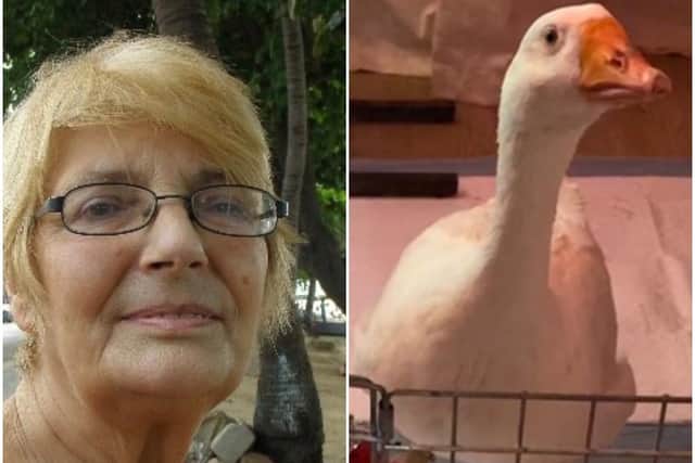 Elizabeth's dying wish was for her goose Gilbert to be re-homed