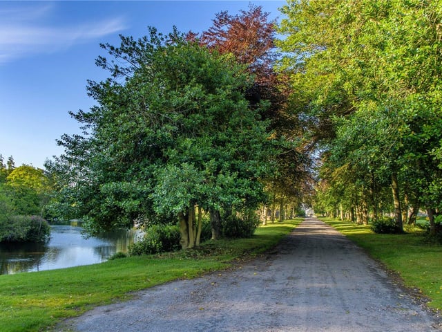 Lake and driveway.