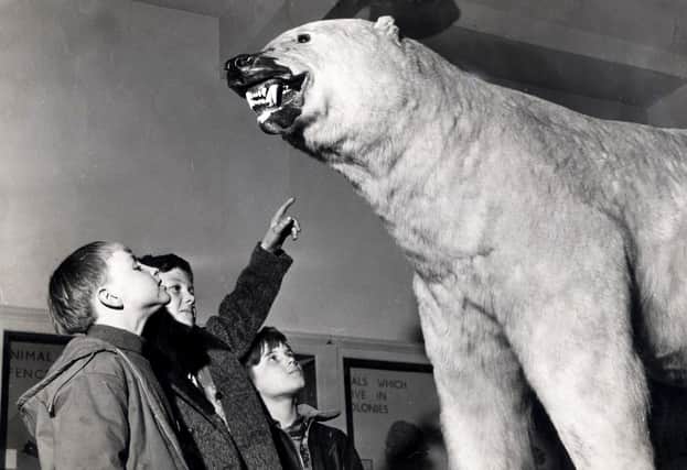 Youngsters and the polar bear at the City Museum in 1968