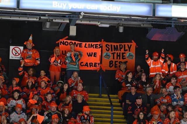 Steelers fans at the semi-final. Picture:  Dean Woolley