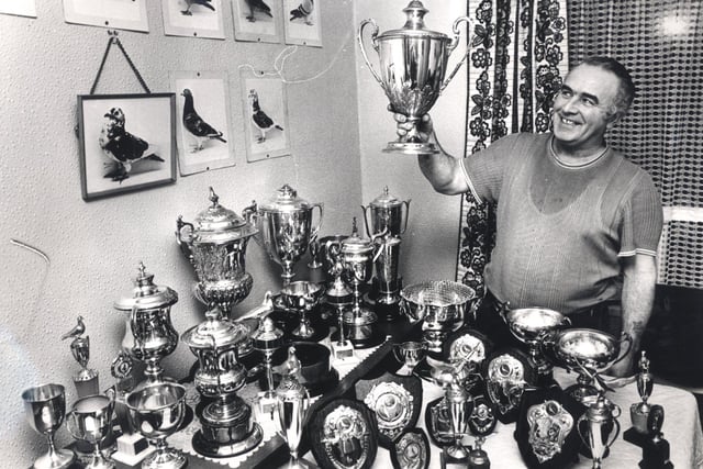 Woodhouse pigeon fancier Pat McGrath  of Tithe Barn Lane, and some of his trophies, February 1977