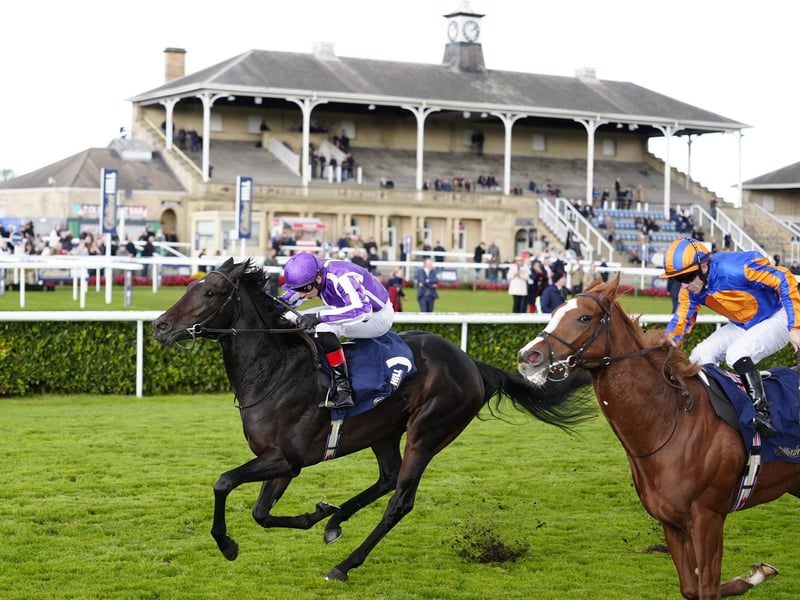 The Premier Suite at Doncaster Racecourse plays host to a grand Gala Ball. This sophisticated evening features a five-course gourmet dinner, a live cabaret show, and an after-dinner disco. At midnight, a grand fireworks spectacle illuminates the racecourse grounds, followed by a champagne toast to welcome 2026.