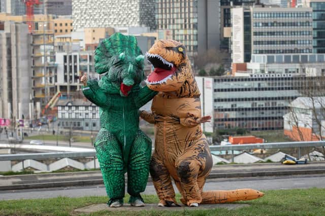 The unlikely duo of a Triceratops and a Tyrannosaurus rex at Norfolk Road, Park Hill