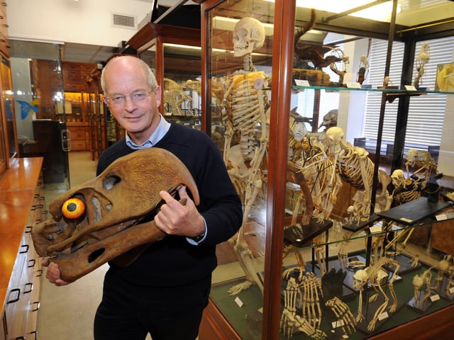 Sheffield has lots of great museums but the Alfred Denny Museum, in the University of Sheffielda's imposing red brick Alfred Denny Building, on Western Bank, is one of the least well known. Named after the university's former professor of biology, it houses specimens from across the globe, including many fossils. One of its most unusual artefacts is the skull of the extinct 'terror bird', which was up to 10 feet tall. The Alfred Denny Museum is usually open for pre-booked guided tours at 10am, 11am and 12pm on the first Saturday of each month. There are only 25 places per tour, so book early.
Named after the former professor of biology, Alfred Denny, the Alfred Denny Museum in Sheffield University's Alfred Senny Building, on Western Bank houses hundreds of skeletons and preserved animals. Many of the specimens have been in the museum since the early 1900s when collecting was at its peak. The Alfred Denny Museum is usually open for guided tours at 10am, 11am and 12pm on the first Saturday of each month. There are only 25 places per tour, and they must be pre-booked