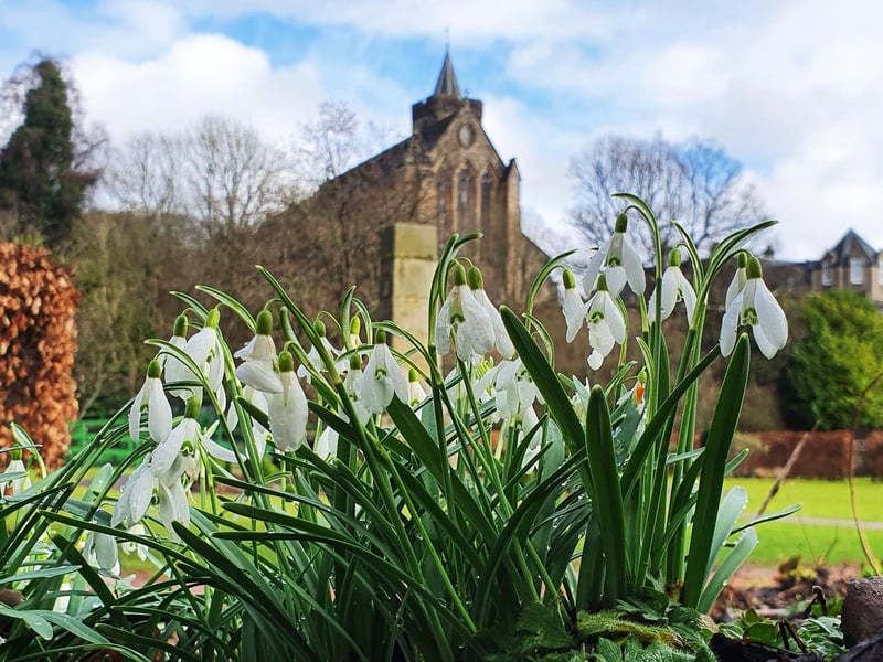 Opening in late April, Dunblane Cathedral is the larger of the two Church of Scotland parish churches serving Dunblane, near the city of Stirling, in central Scotland. The lower half of the tower is pre-Romanesque from the 11th century, with an upper part added in the 15th century.