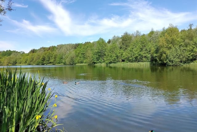 Situated on the edge of Chesterfield, Holmebrook Valley Country Park offers some of the most beautiful views the town has to offer. 

There's plenty of wildlife to marvel at, as well as the centrepiece of the park - the lake. It also offers fishing areas and bike tracks for those who want a bit more from their park experience.
