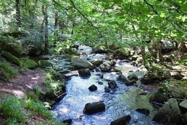 Padley Gorge, near Grindleford, in Derbyshire's Peak District, just a few miles away from Sheffield, is another one of Dan Walker's favourite countryside places to go walking and to enjoy breathtaking scenery.