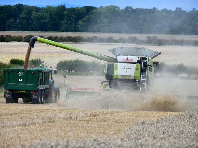 Wheat harvest at Wheatrig Farm, Longniddry.