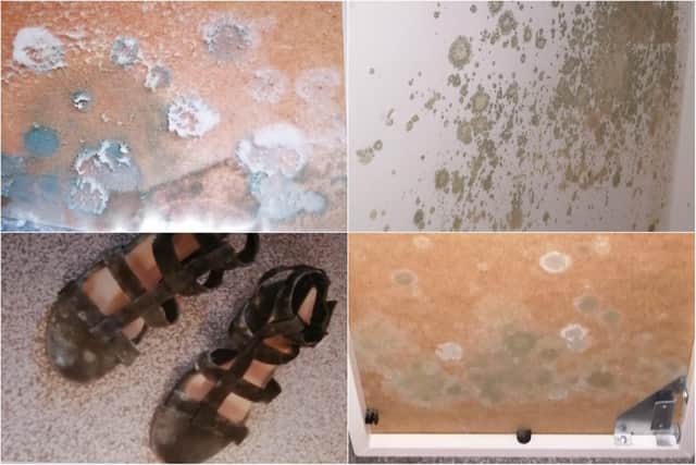 A tenant was forced to throw away dozens of possessions and seek medical support as Sheffield Council failed to tackle mould for 18 months.