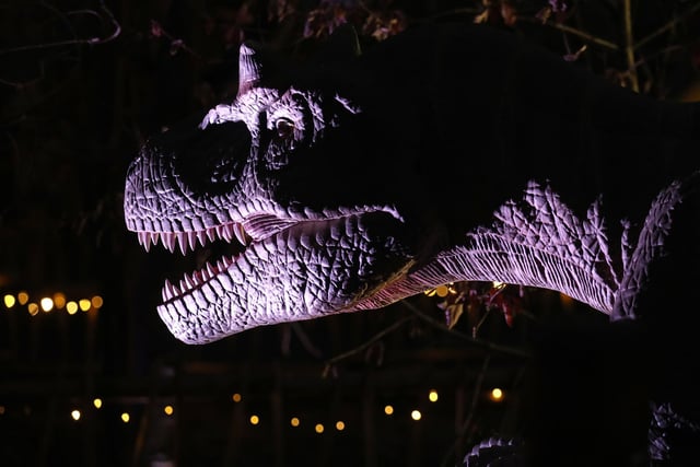 One of the illuminated dinosaurs at Blair Drummond Safari Park near Stirling, Scotland.