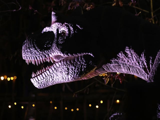 One of the illuminated dinosaurs at Blair Drummond Safari Park near Stirling, Scotland.