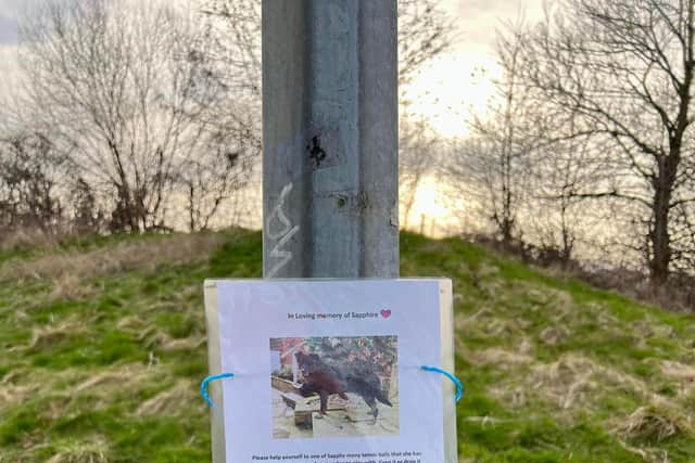 Fellow dog owners have been touched by the tribute to 'gorgeous girl' Sapphire at a park in Stannington, Sheffield