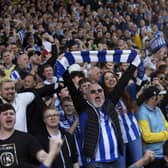 Sheffield Wednesday fans have turned up in the numbers all season - and Michael Smith has been impressed. (Steve Ellis)