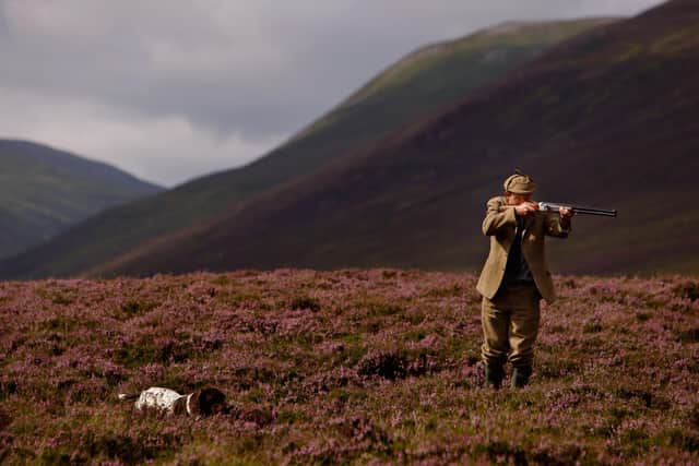Ian McColl, director of the Game and Conservation Trust, watches a grouse as the glorious 12th approachess.  (Photo by Jeff J Mitchell/Getty Images)