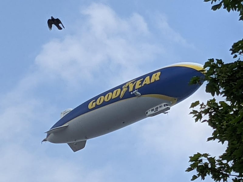 Is it a bird? Well, yes, - but it's also the blimp flying over Lake Road, Landport, on Thursday, July 1. Picture: Steve Jeal
