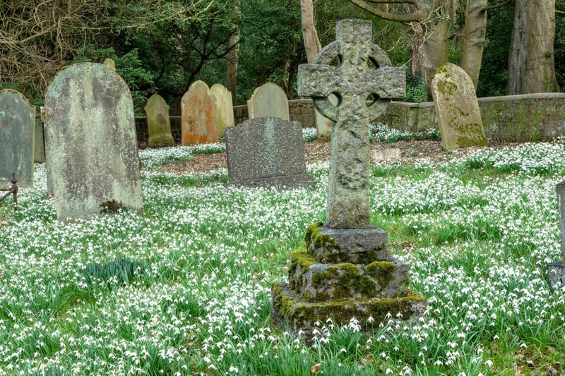 Spring flowers cover the cemetery. Picture: Jane Coltman