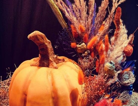 Can you tell if this pumpkin is real or made of cake. Check out @bettys_bakes_and_makes on Instagram to find out.