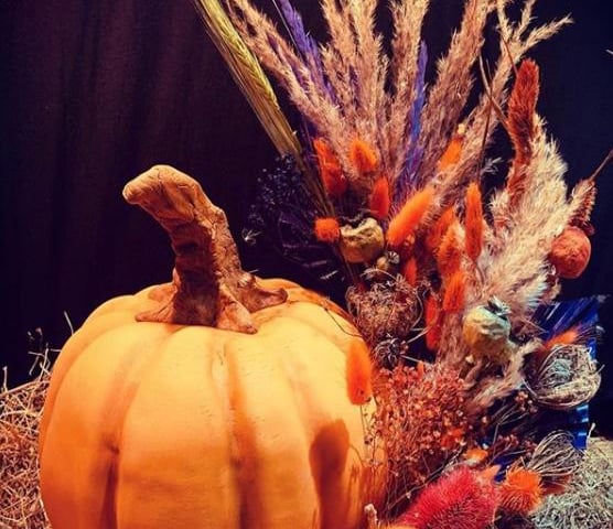Can you tell if this pumpkin is real or made of cake. Check out @bettys_bakes_and_makes on Instagram to find out.