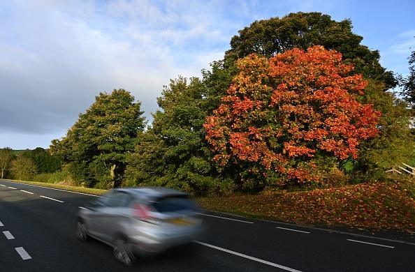 All the Autumnal colours are currently on display at Fisher Lane Park too. You can treat yourself to the stunning views this weekend.