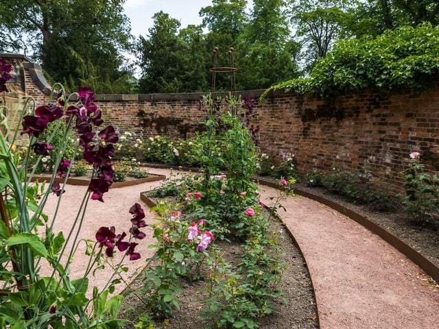 The Sensory Rose Garden at Wentworth Woodhouse in Rotherham features over 170 David Austin roses