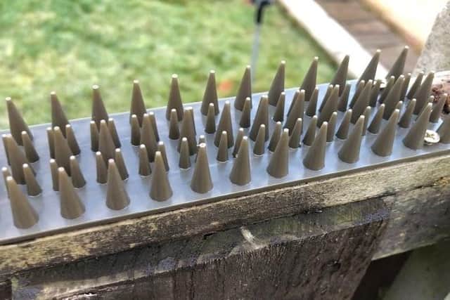The anti-cat spikes have been installed on the woman's garden fence without her consent.