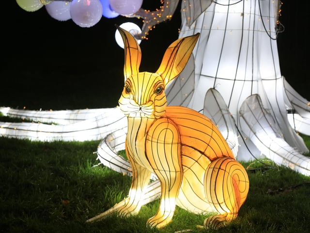 A spectacular light and lantern festival created some dazzling Christmas magic as the award-winning Yorkshire Wildlife Park unveiled the Winter Illuminations trail today. Picture: Chris Etchells