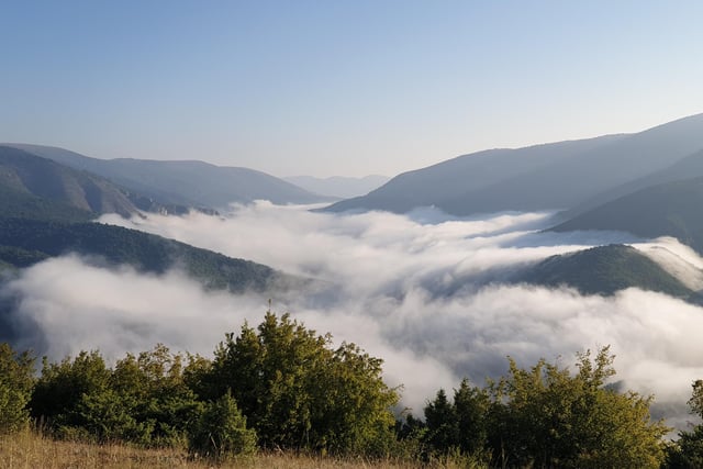 Mike took this photo while travelling through the forests of Bulgaria. The country has more than 35 per cent forest cover, compared to just 15 per cent in the UK.