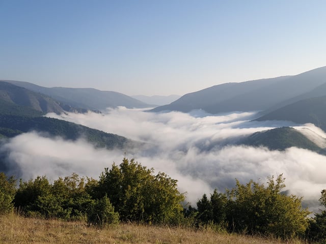 Mike took this photo while travelling through the forests of Bulgaria. The country has more than 35 per cent forest cover, compared to just 15 per cent in the UK.