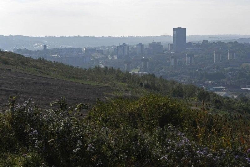 You can see the 'best views in Sheffield', as featured on The Full Monty TV reboot, and learn how a medieval deer park provided materials for industry, a home for workers, a dump for waste and a platform for guns. The tour takes place on Thursday, September 14, from 5.30pm to 8pm. Meet at Parkwood Springs Car Park, Shirecliffe Road, Sheffield S5 8XB.
