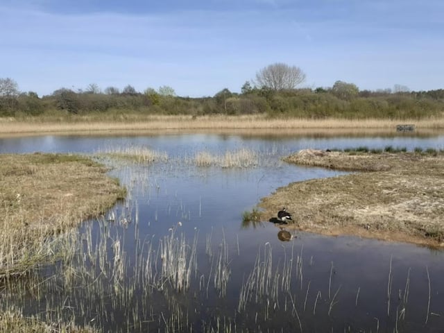 An untouched nature reserve teeming with wildlife, Potteric Carr is the ultimate place in Doncaster to feel at peace with the natural world.
Featuring some rare species, such as kingfishers and roe deer, any fans of animals will feel right at home here. Be advised that due to the animals freely roaming the grounds, dogs unfortunately aren't permitted on site.