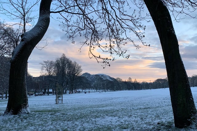 This calming scene was taken by Lucy Norris in the meadows.