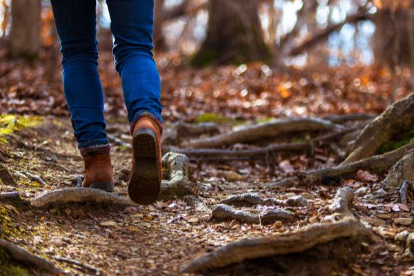 This long-distance route passes by rivers, canals and through historic towns and cities in the North of England. The Garforth to Woodlesford section is a particularly scenic part of the trail, offering countryside views.