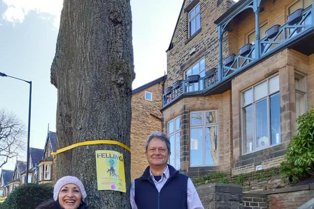 Tree protesters Deepa Shetty and Russell Johnson on Rustlings Road by one of the trees they saved.