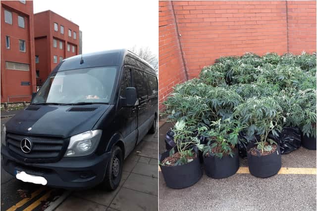 Cannabis plants were found in the back of a van stopped by police officers in Rotherham