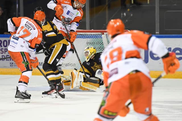 Sheffield Steelers on the attack against Nottingham Panthers