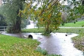 Graves Park ravine stream in flood taken by Ian Rotherham