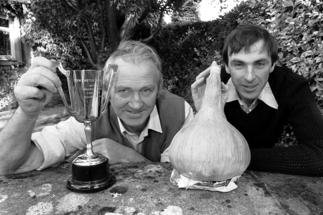 Charles and Stanley Hill from Melrose won the Newcastle Brown World's Heaviest Onion Challenge Championship trophy in October 1981.