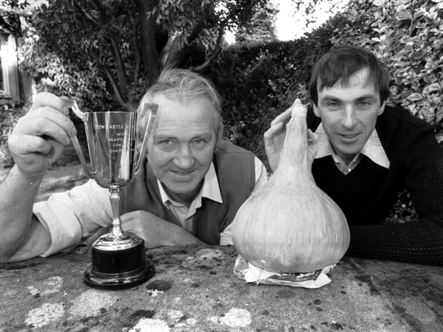 Charles and Stanley Hill from Melrose won the Newcastle Brown World's Heaviest Onion Challenge Championship trophy in October 1981.