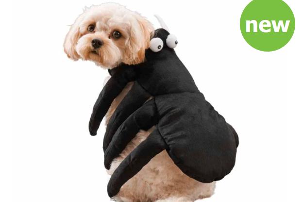 This pet spider cloak from Wilko features eight fun legs and a pair of googly eyes. It comes in sizes extra small, small and medium and costs £4 each. bit.ly/3diedDR (Photo: Wilko)