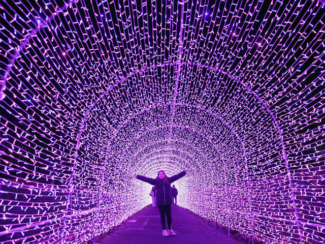 Nine year old Karis Milligan in the light tunnel at the launch of Edinburgh Zoo's Christmas Nights.