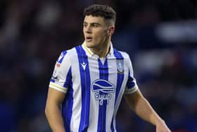 EXCITING PROSPECT: Bailey Cadamarteri has made a good start in senior football with Sheffield Wednesday