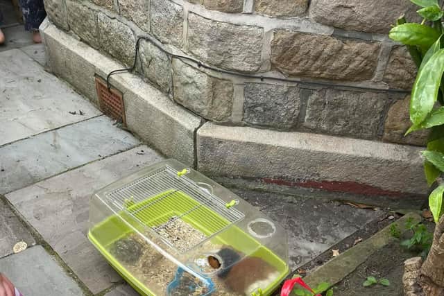 Vic Hancock Fell and her family stepped outside their house today to find a cage, a bag of belongings and an extremely frightened rodent.