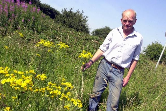 Farmer Trevor Ward concerned about Ragwort growing in 2003.