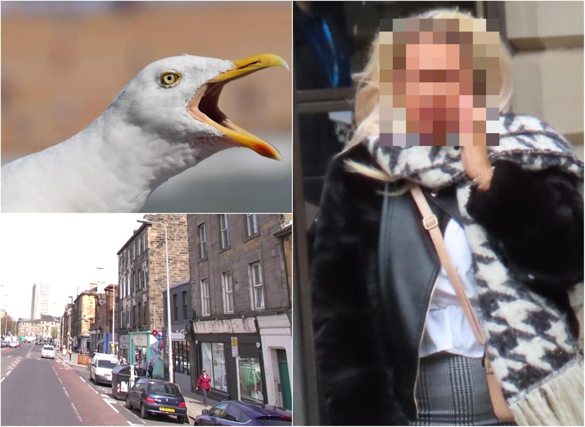 Edinburgh woman bit a man’s tongue in a street fight before the seagull came down and ate it