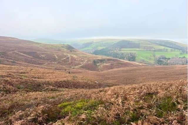 Eyam Moor will be rewilded by Derbyshire Wildlife Trust.