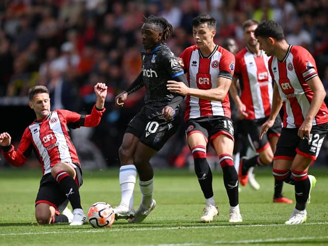 SHeffield United's Anel Ahmedhodzic and Ollie Norwood in action against Crystal Palace. (Photo by Laurence Griffiths/Getty Images)