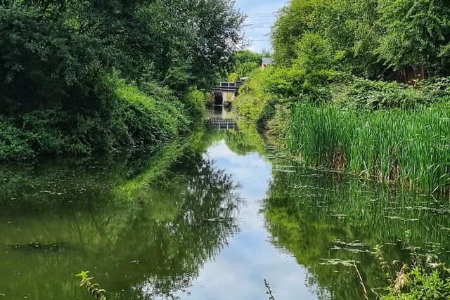 Chesterfield Canal taken by Helen Toulson