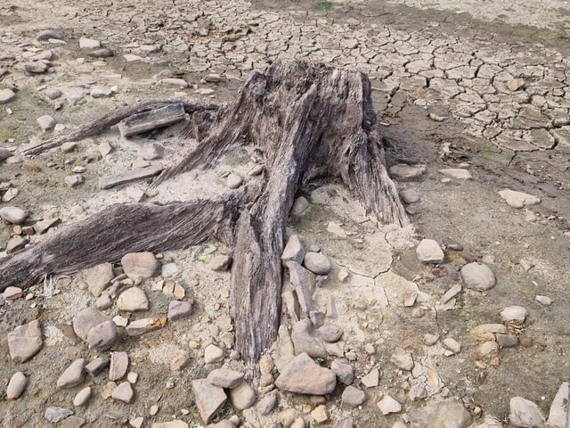 It's not just man-made structures which were submerged to create Ladybower Reservoir