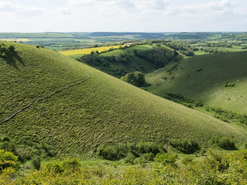 One of the highest points in the county can be found at Butser Hill which is a sensational walk for families and for those who love a bit more of a challenge. There is a carpark at the top, or if you are feeling energetic you can park down at the bottom next to Queen Elizabeth Country Park and walk up. Either way at the top you can enjoy some stunning views to the north of the South Downs National Park, and equally breath taking views of the Solent to the south. There is also a cafe at the top - always a winner with all of the family!
Picture by Daniel Greenwood