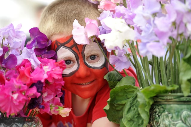 Aaran Lyall, 4, who after having his face painted as Spiderman in 2012, was well camouflaged in the flowers.
